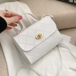⁦موضة حقيبة ساعي صغيرة للنساء 2024 الاتجاه الجديد حقيبة كتف الإناث حقائب كروسبودي السيدات عادية رائجة البيع حقائب اليد الصغيرة⁩ - الصورة ⁦6⁩